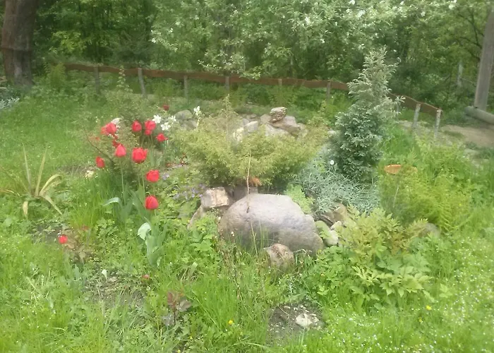 Садиба Карпатський Рай Parque de vacaciones