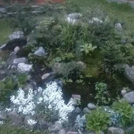 Садиба Карпатський Рай Holiday park